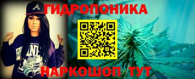 МДПВ Бийск