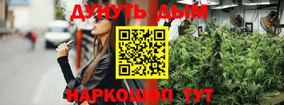 МДПВ Бийск