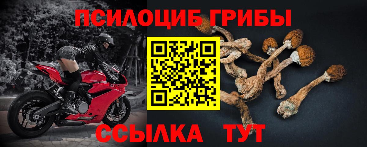 Кимры  Галлюциногенные грибы Magic Shrooms  Вход с VPN  Галлюциногенные грибы Magic Shrooms 
